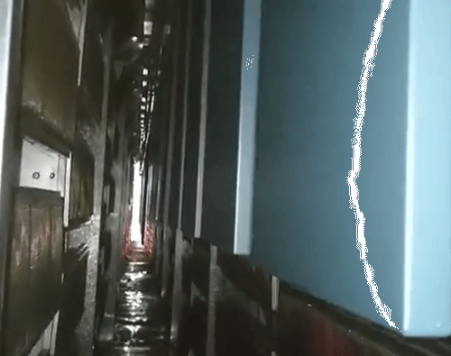 燃气红外固化炉